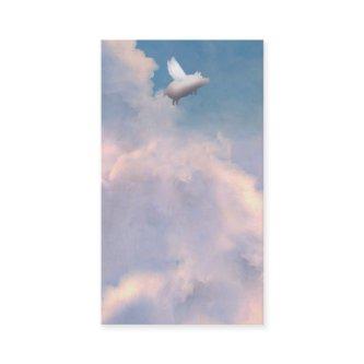 flying pig
