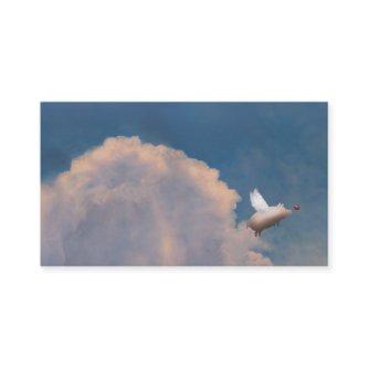flying pig
