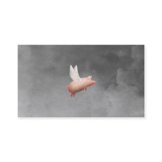 flying pig