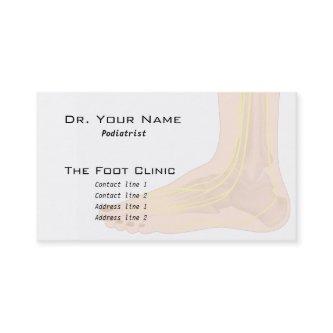 Foot anatomy