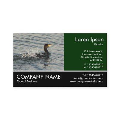 Footed Photo - Cormorant Learning to Swim