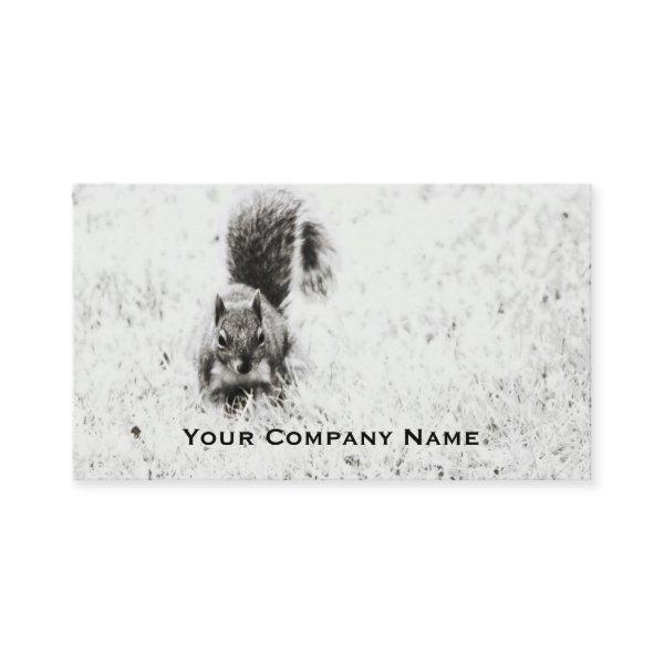 Foraging Squirrel Custom