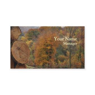 Forestry autumn