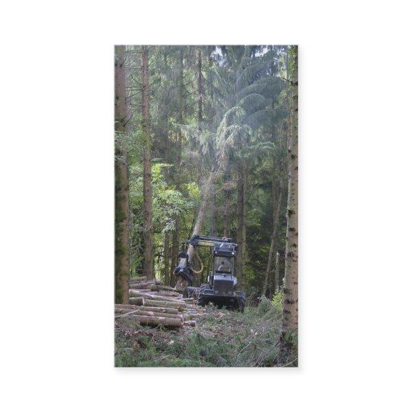 Forestry industries