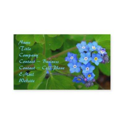 Forget-Me-Not