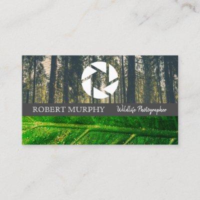 Forrest | Leaf | Camera Lens Icon