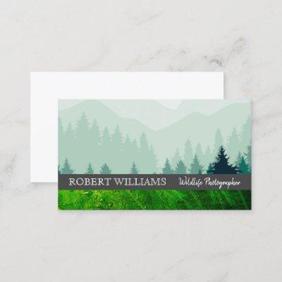 Forrest | Leaf | Wild Life | Natural