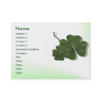 Four Leaf Clover (Shamrock) Profile Card