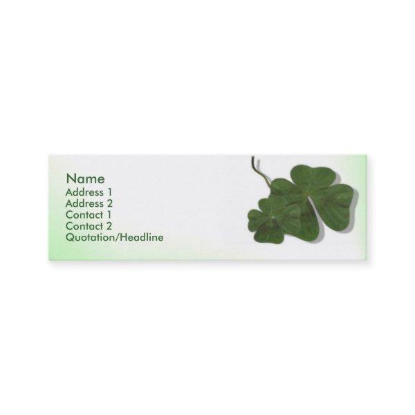 Four Leaf Clover (Shamrock) Profile Card