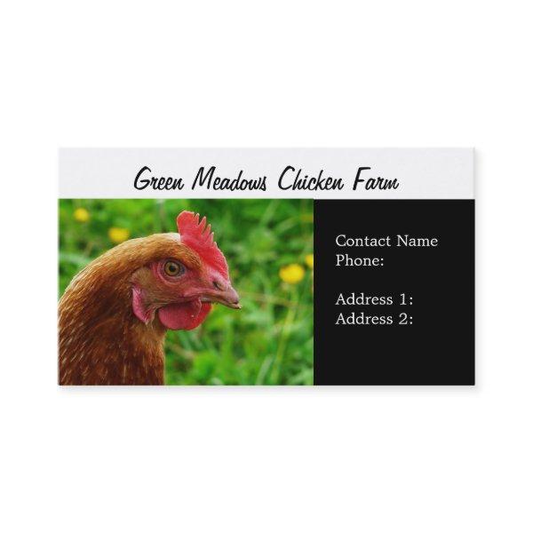 Free Range Eggs Hen
