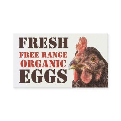 Free Range Organic Eggs - Layer Chicken