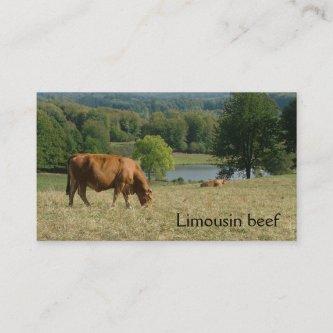 French countryside with Limousin cows