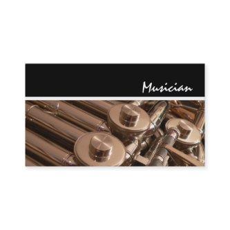 French Horn Player Teacher Music Studio Musician