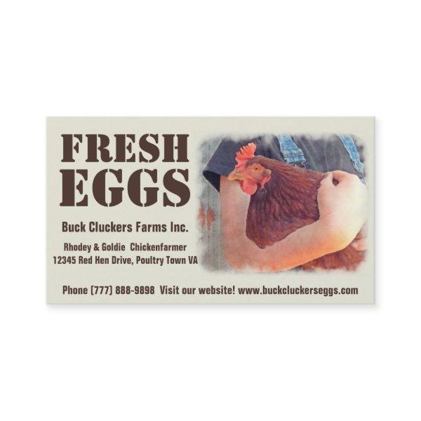 Fresh  Eggs - Red hen Layer Chicken