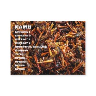 Fried Grasshopper (Takkataen Thot) Asian Food