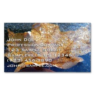 Frozen Yellow Maple Leaf Autumn Nature  Magnet