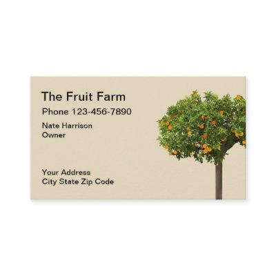 Fruit Farm Orange Tree Design