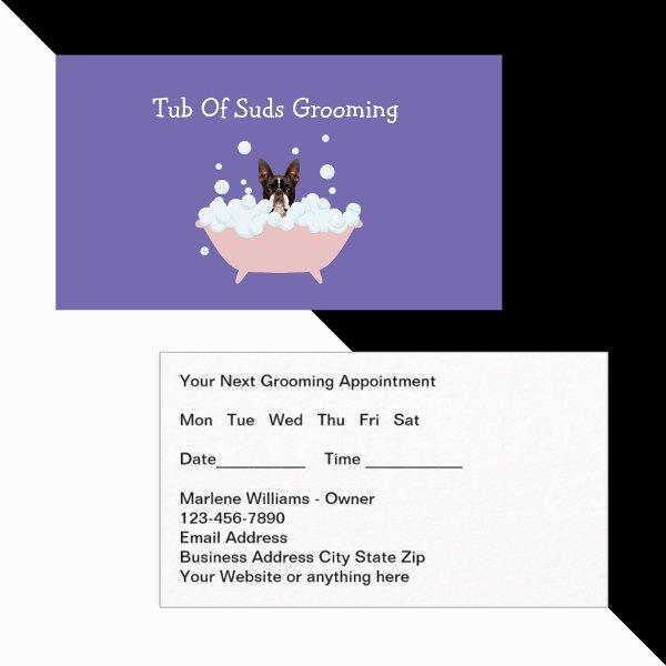 Fun Pet Grooming Appointment