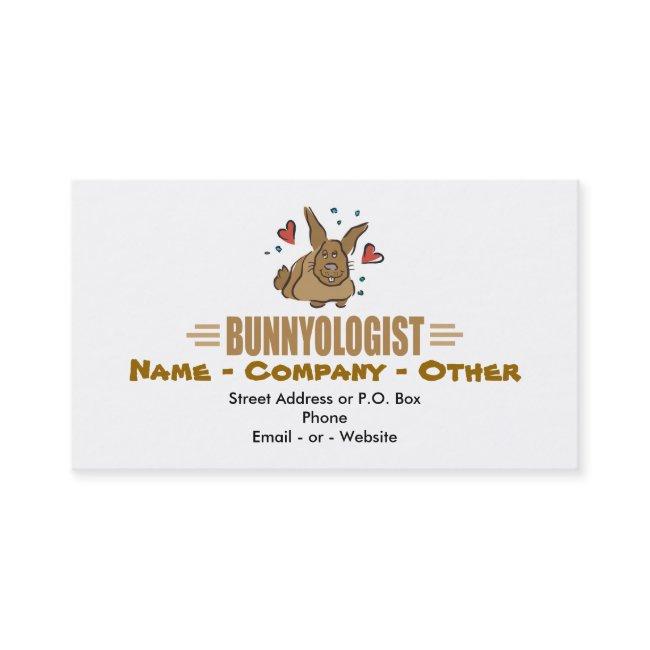Funny Bunny Rabbits