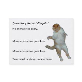 Funny cat Vet veterinarian