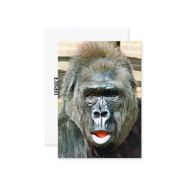 FUNNY CUTE GORILLA