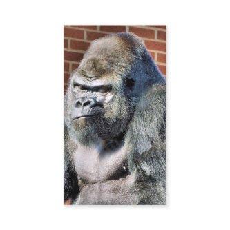 FUNNY GORILLA
