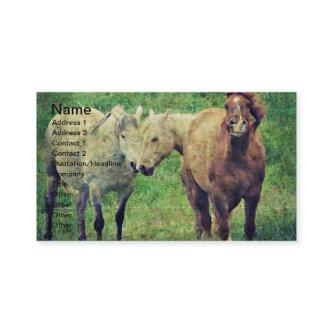 Funny Horses
