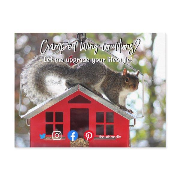 funny real estate cramped living squirrel house postcard