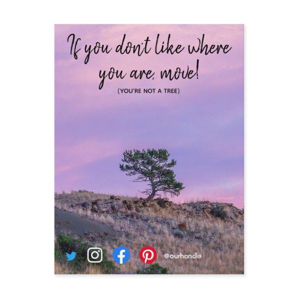 funny real estate postcard you're not a tree