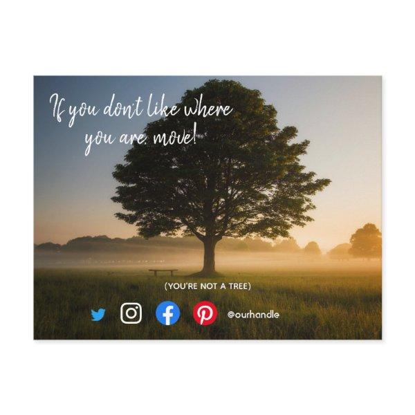 funny real estate postcard you're not a tree