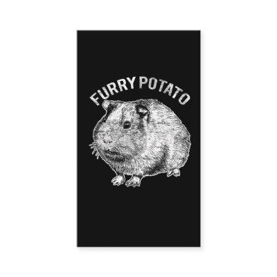 Furry Potato Cute Pet Guinea Pig Lover