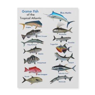 Game Fish of the Tropical Atlantic Magnetic Card