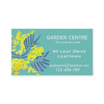 Garden centre Australian wattle Plants and trees
