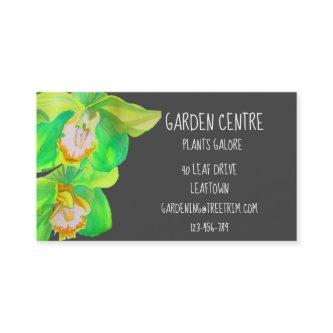 Garden centre modern simple orchid flower