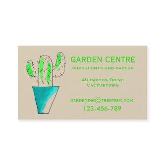 Garden centre succulents and cactus plants
