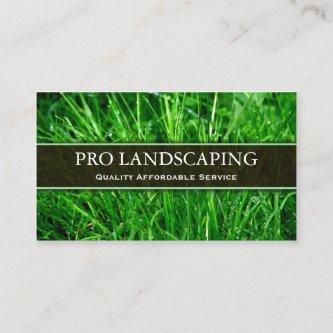 Gardener / Landscaping