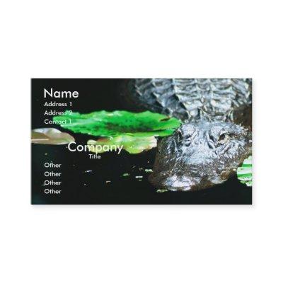 Gator