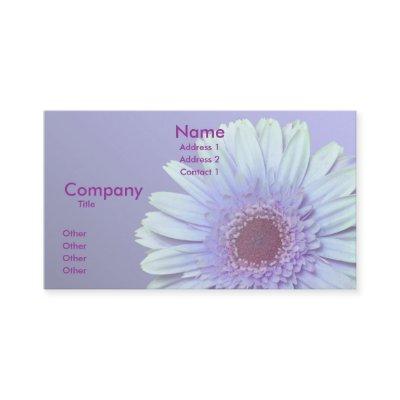 Gerbera Daisy