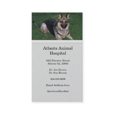 German Shepherd