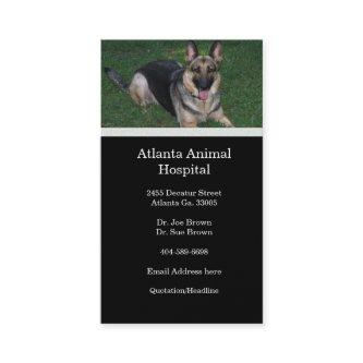 German Shepherd