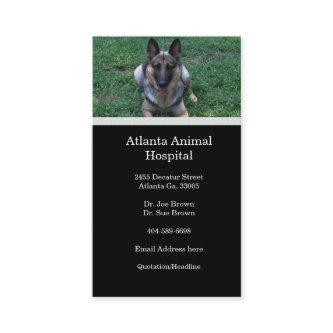 German Shepherd