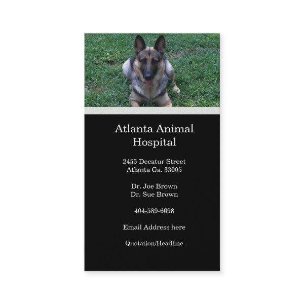 German Shepherd