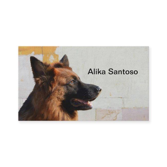 German Shepherd Dog