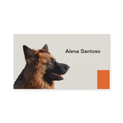 German Shepherd Dog