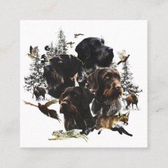 German Wirehaired Pointer     Square
