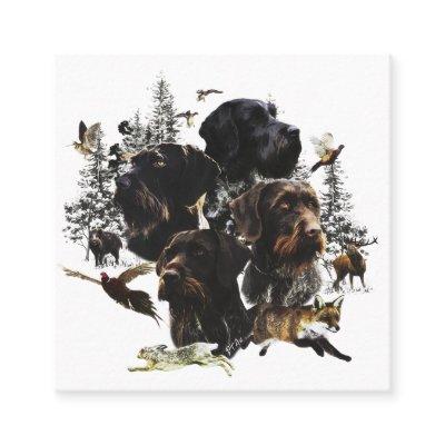 German Wirehaired Pointer     Square