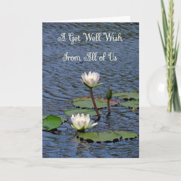 Get Well Card from All of Us Water Lilies