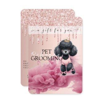 Gift Certificate Dog Grooming Pet Vet Boarding