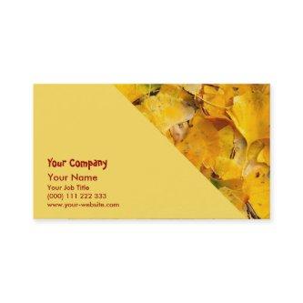Ginkgo Biloba leaves