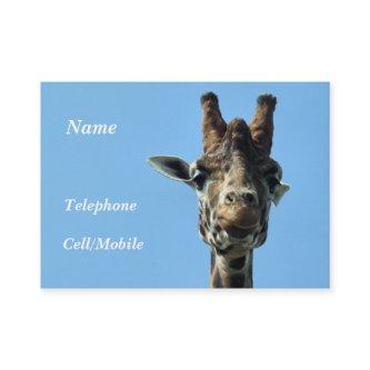 GIRAFFE